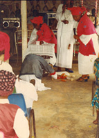 GOAT THAT ENTER EGG SELLERS SHOP...... IT NEEDS PATIENCE